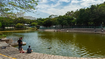 Stairs in the Model Boat Pool enable users to get close to the wateredge and enjoy playing with their model boats.